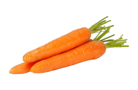 Carrot